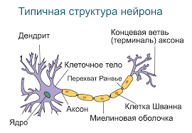 Иллюстрация 4 к статье «Принципы работы с РПП. (Супервизии с Николь Шнаккенберг) Часть первая»