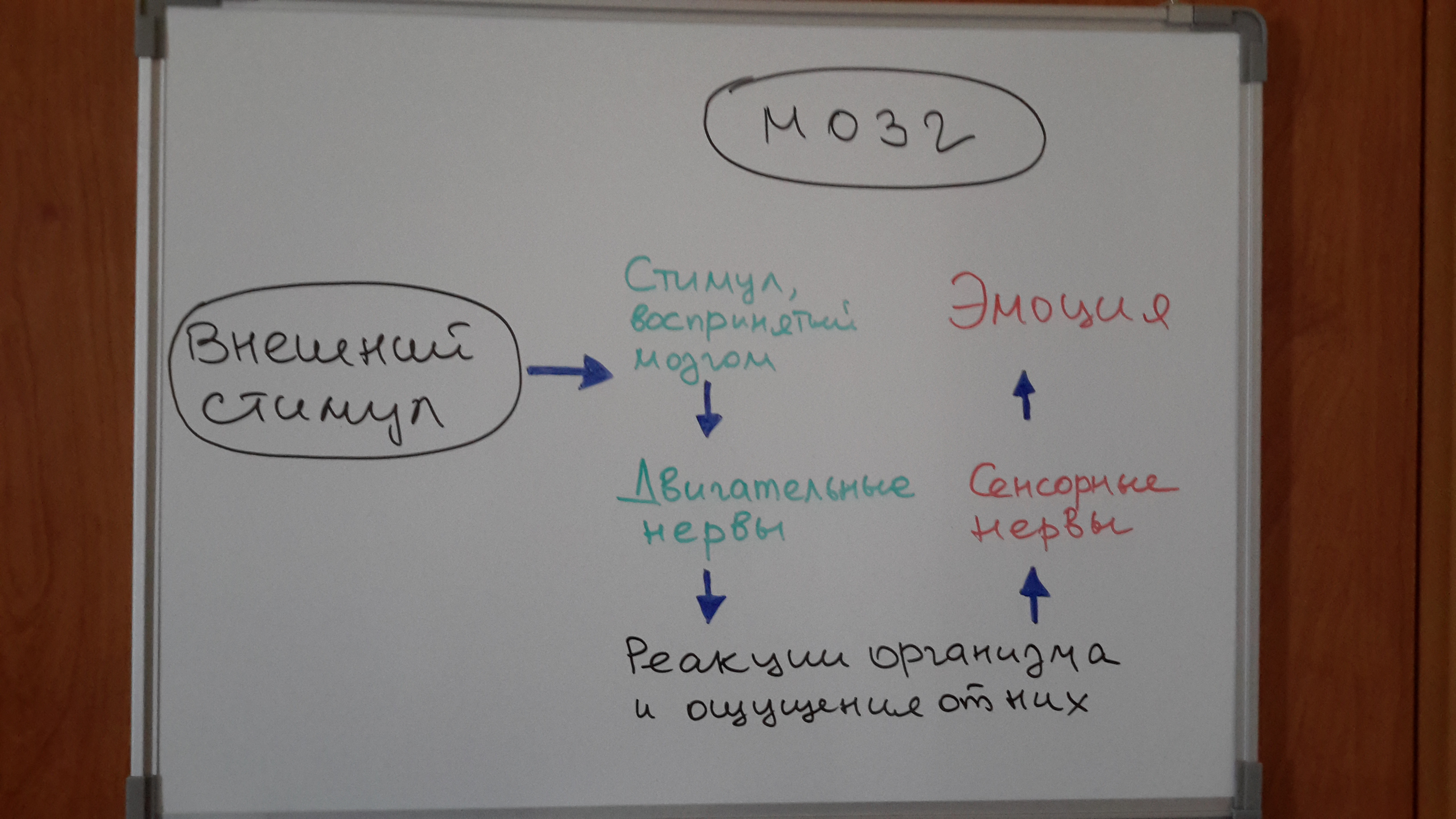 Иллюстрация 4 к статье «Стресс за рулем? Нет спасибо!»